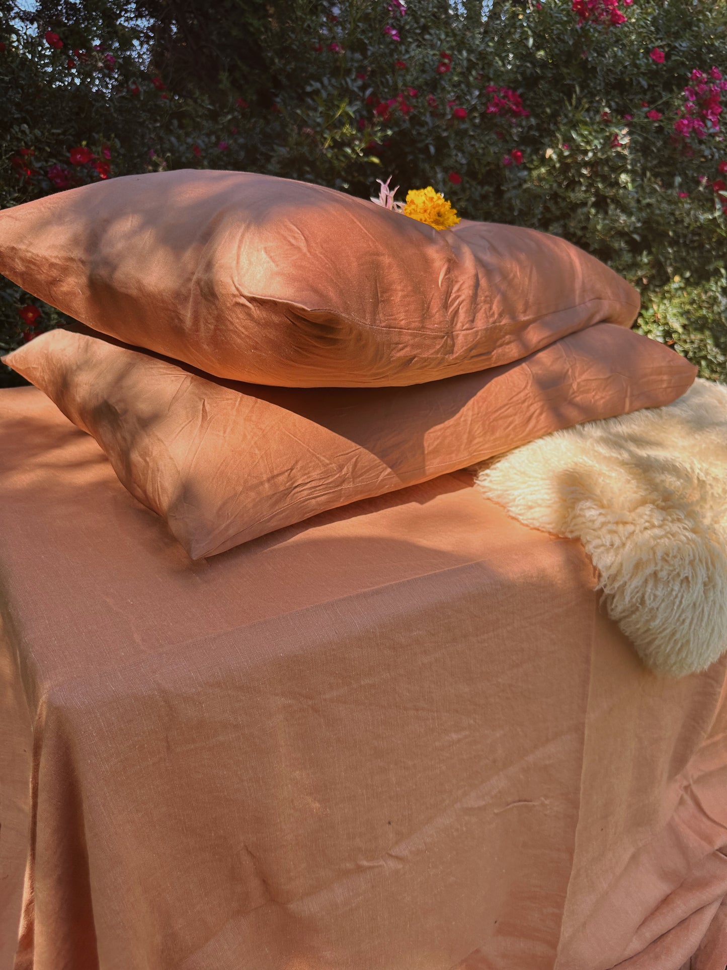 Silk Pillowcases - Plant Dyed - Standard & King