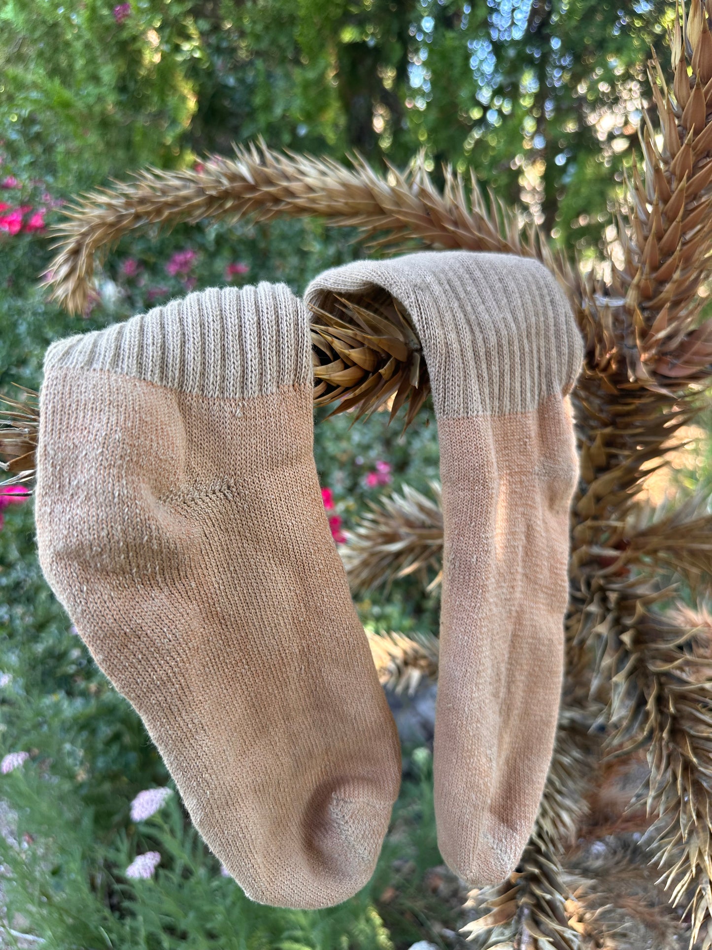 Organic Cotton Crew Sock - Plant Dyed ꩜ 7 Colors