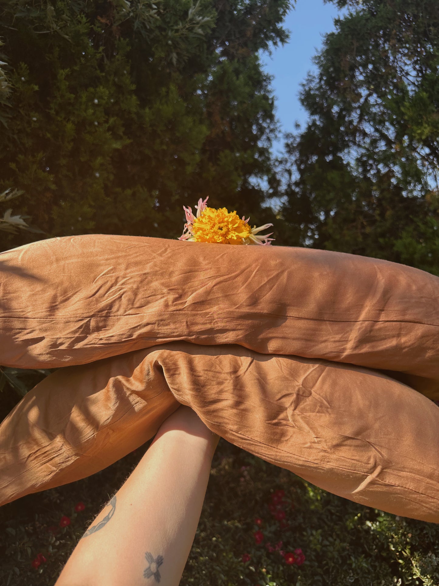 Silk Pillowcases - Plant Dyed - Standard & King