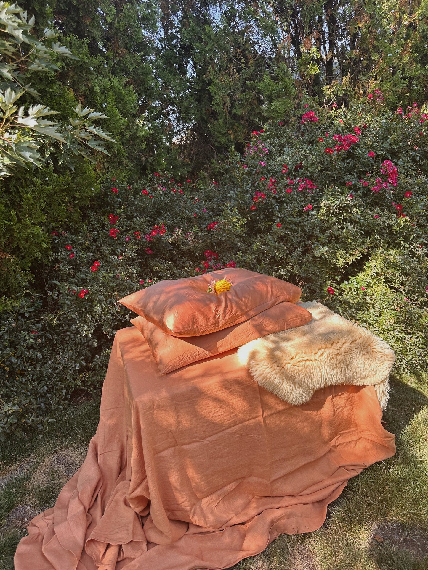 Silk Pillowcases - Plant Dyed - Standard & King