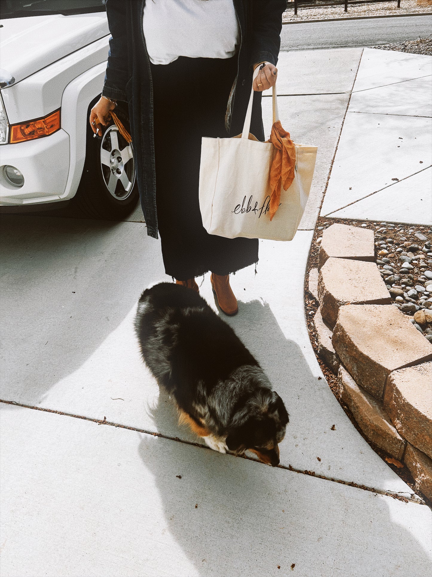 Hemp Ebb & Flow Canvas Tote