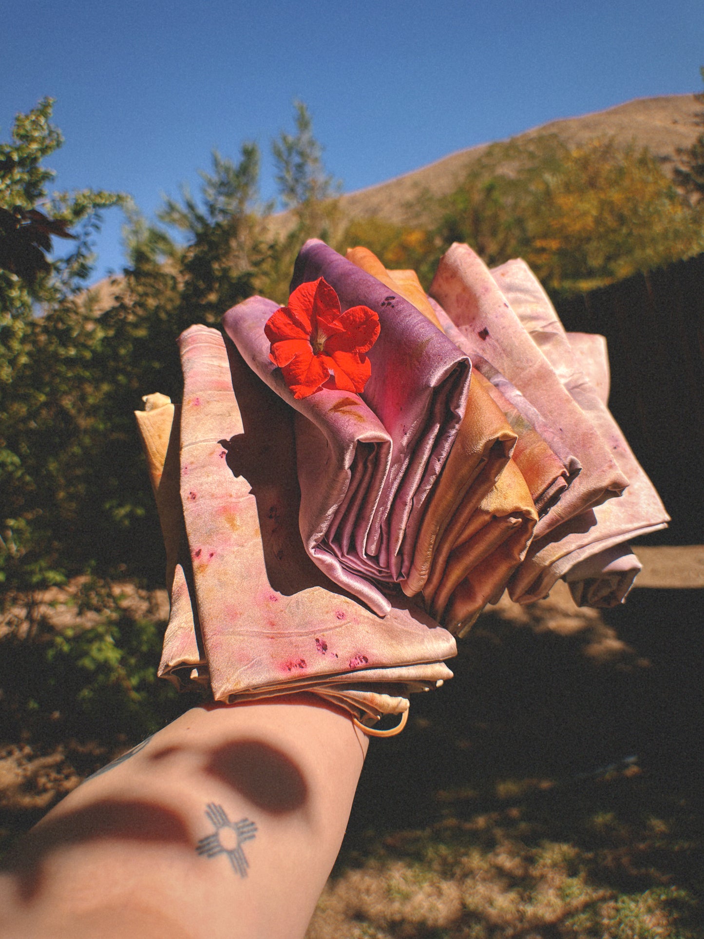 Silk Pillowcases - Plant Dyed - Standard & King