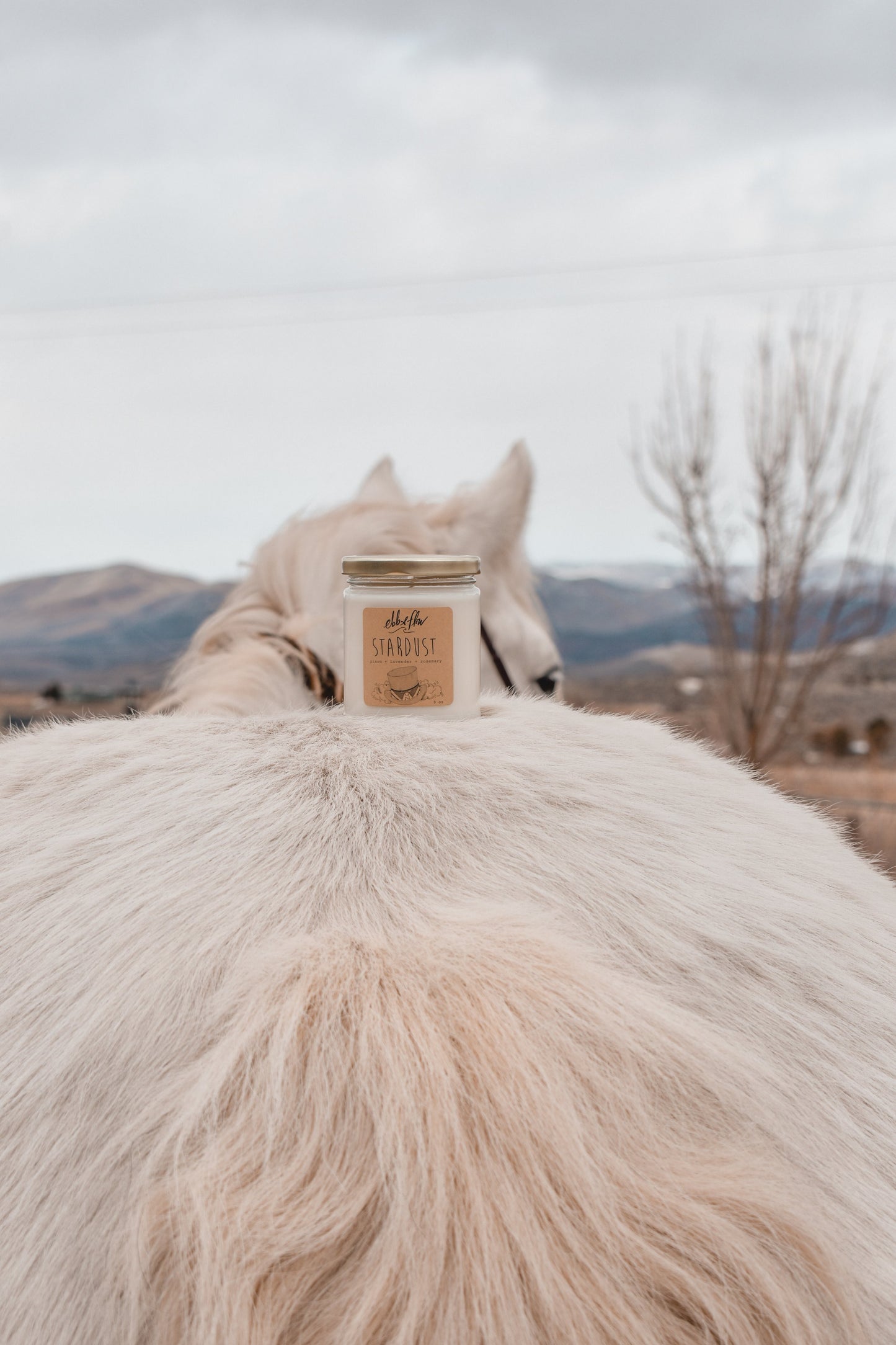Stardust Candle