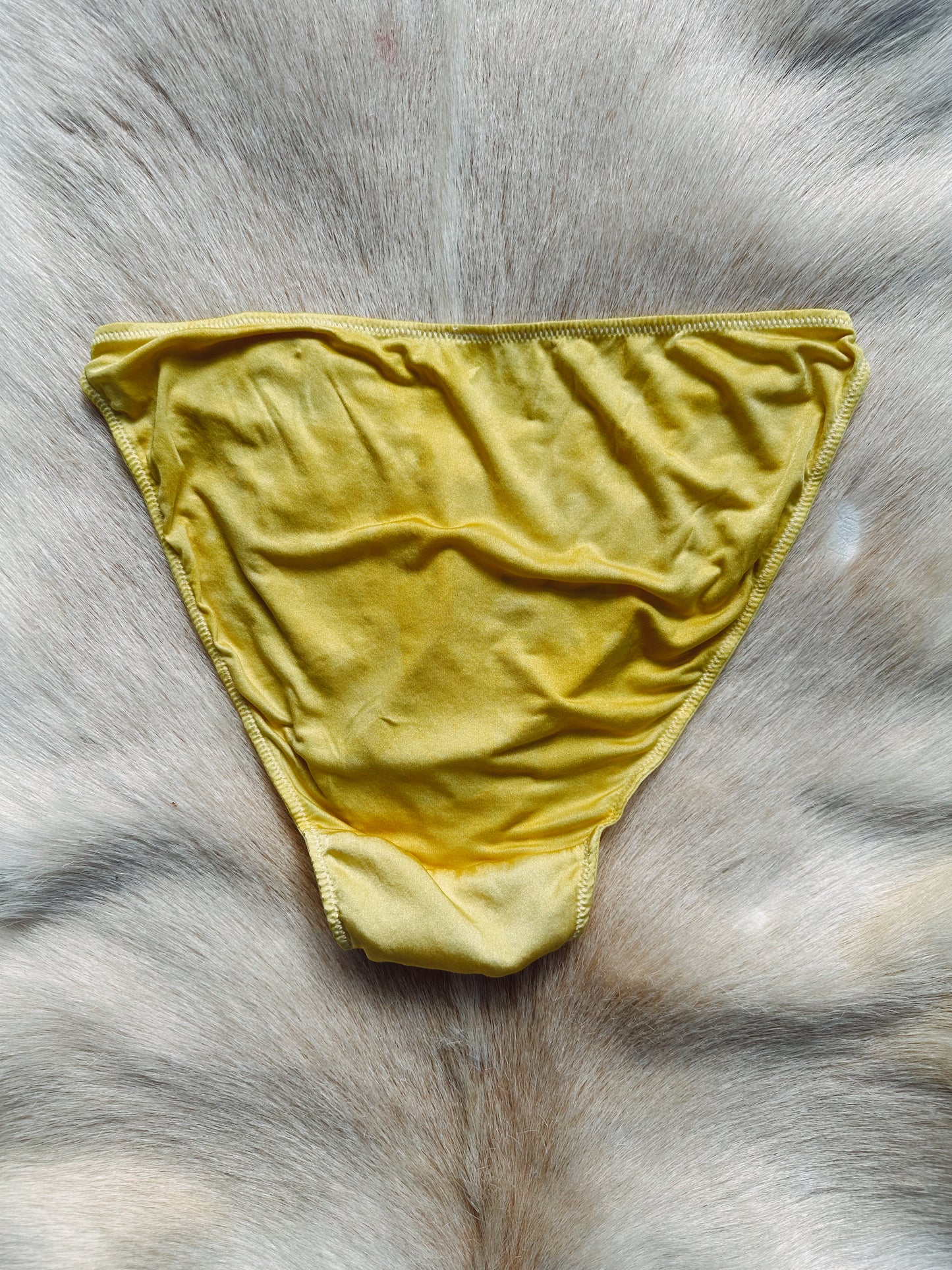 Woven Silk French Bikini Panty