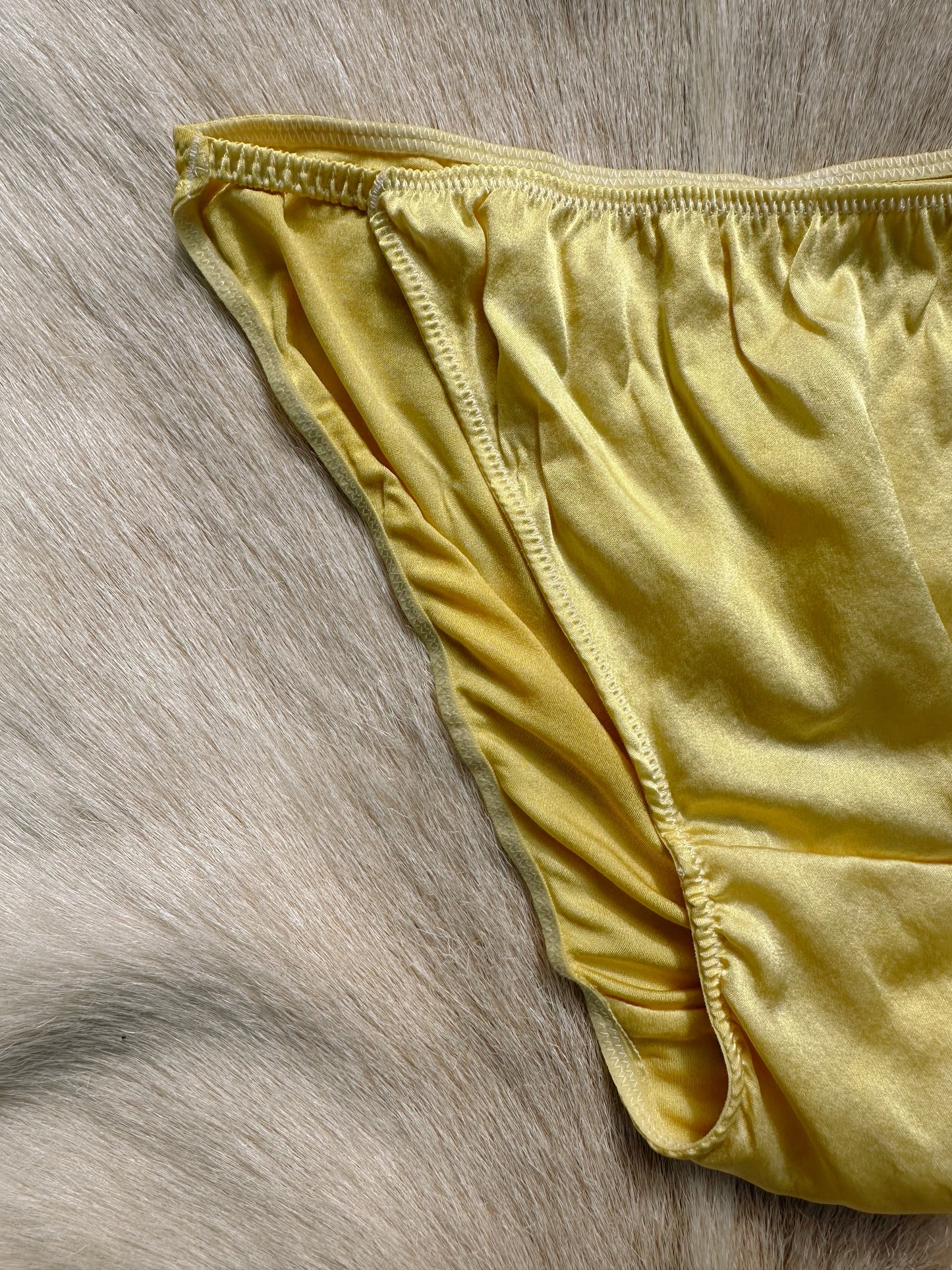 Woven Silk French Bikini Panty