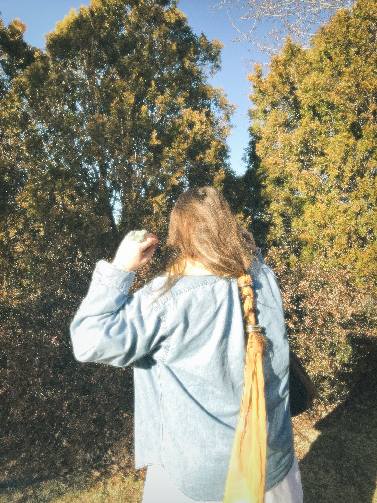 Plant Dyed Chiffon Hair Silk