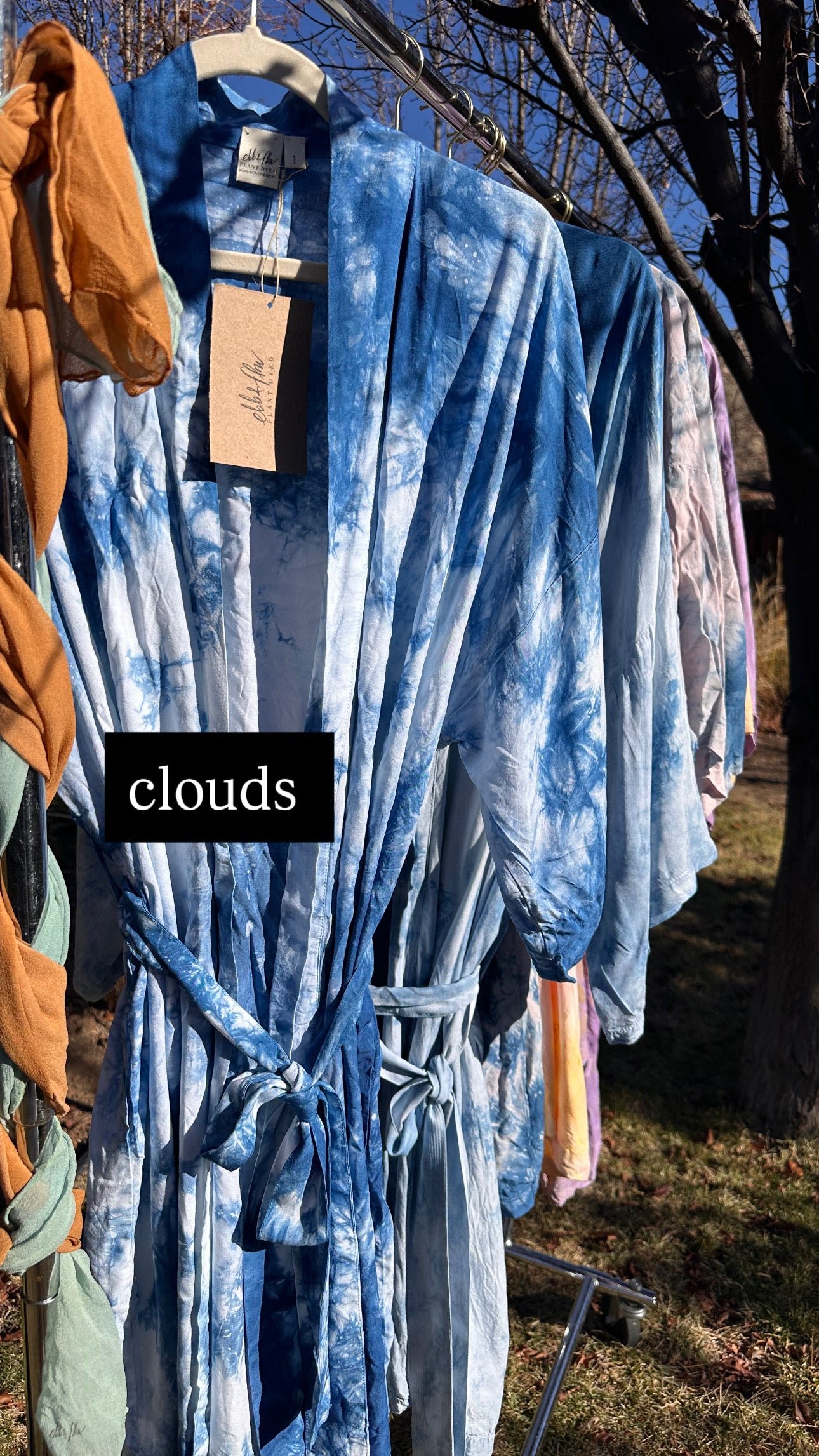 ⋆˚꩜ Cosmos Robe - Plant Dyed ⊹ 6 Colors
