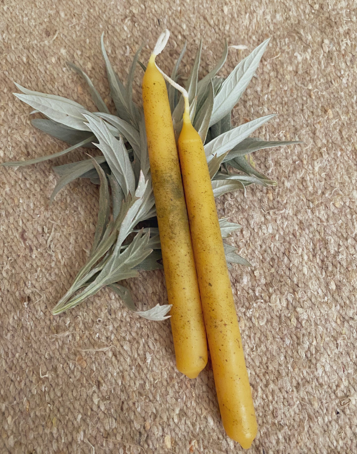 Mugwort Beeswax Taper Candles