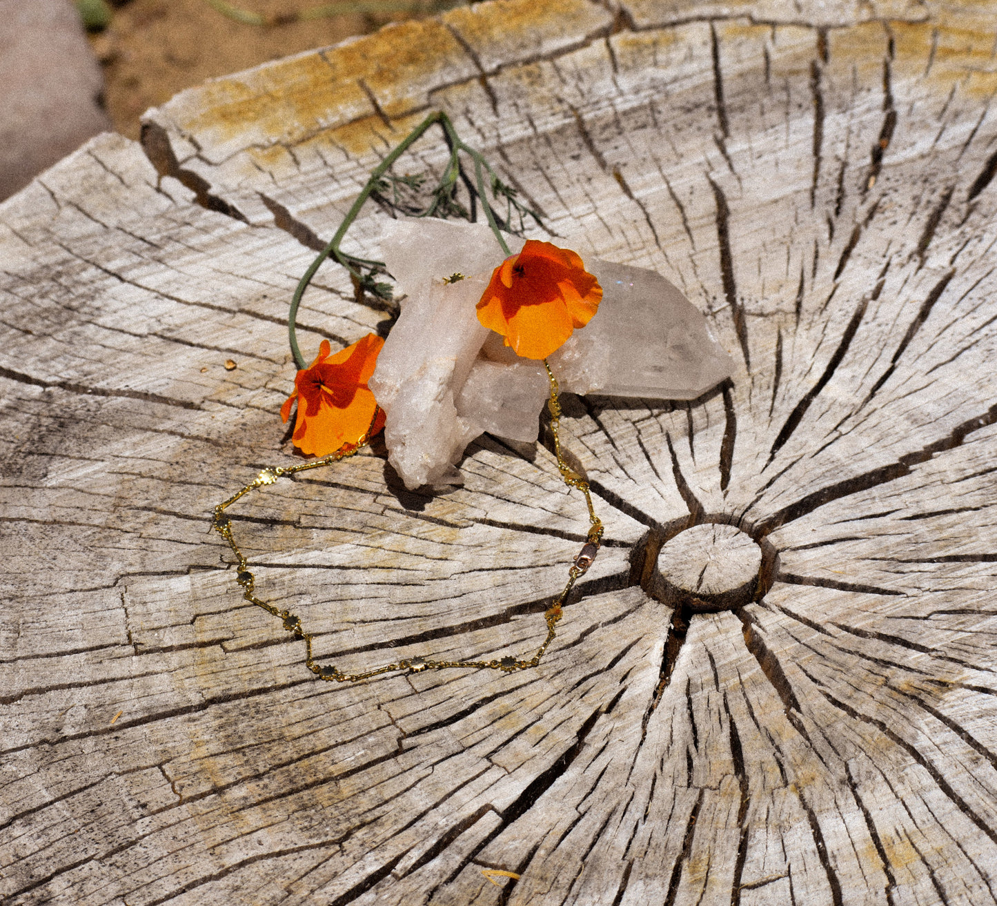 Poppy Child Choker